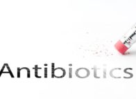 Antibioticareductie: de ogen zijn op Nederland gericht