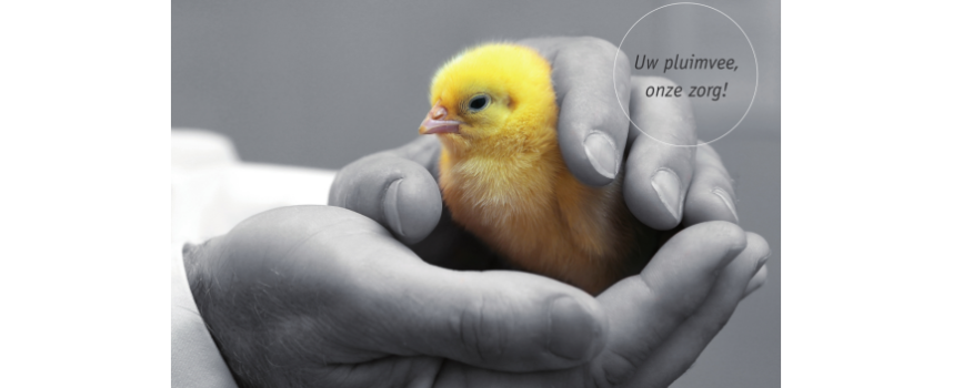 Samen op weg naar een gezonde toekomst