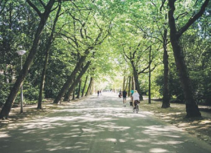 Nederlandse natuur in het gedrang